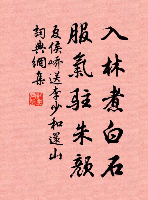 夏侯峤入林煮白石，服气驻朱颜书法作品欣赏