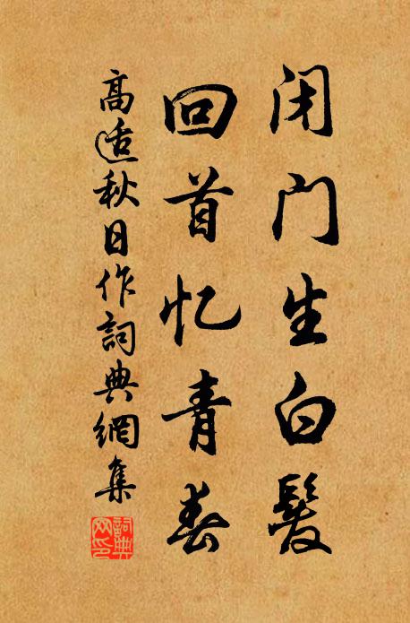 高适闭门生白发，回首忆青春书法作品欣赏