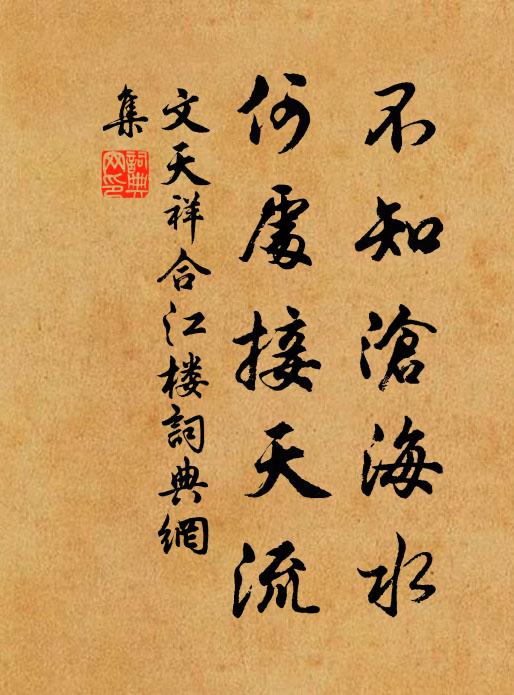 文天祥不知沧海水，何处接天流书法作品欣赏