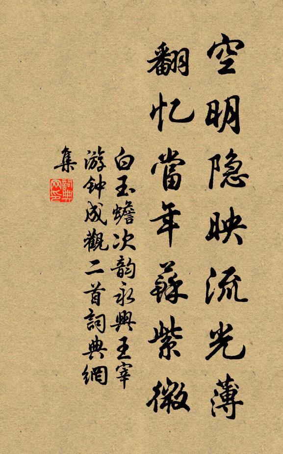 白玉蟾空明隐映流光薄，翻忆当年苏紫微书法作品欣赏