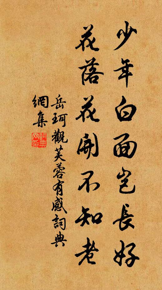岳珂少年白面岂长好，花落花开不知老书法作品欣赏