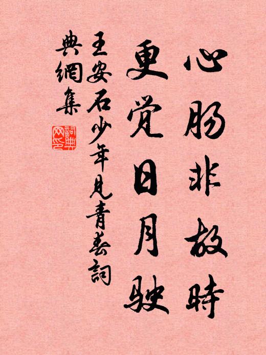 王安石心肠非故时，更觉日月驶书法作品欣赏