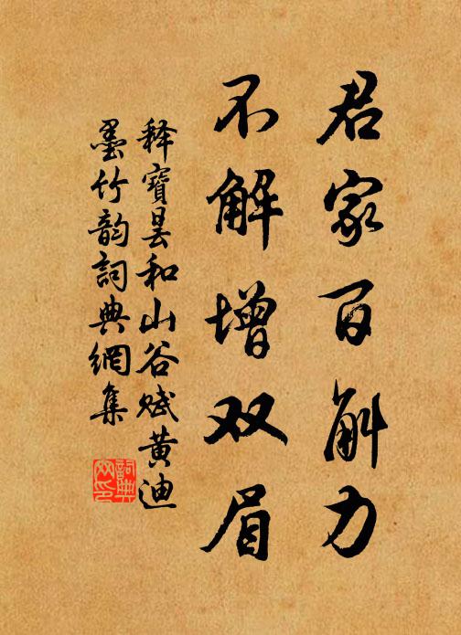 释宝昙君家百斛力，不解增双眉书法作品欣赏