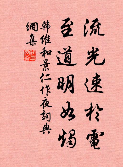 韩维流光速于电，至道明如烛书法作品欣赏