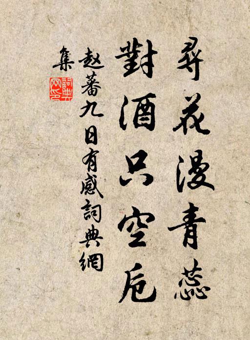 赵蕃寻花漫青蕊，对酒只空卮书法作品欣赏
