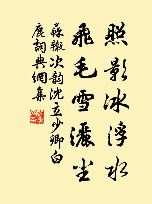 苏辙照影冰浮水，飞毛雪洒尘书法作品欣赏