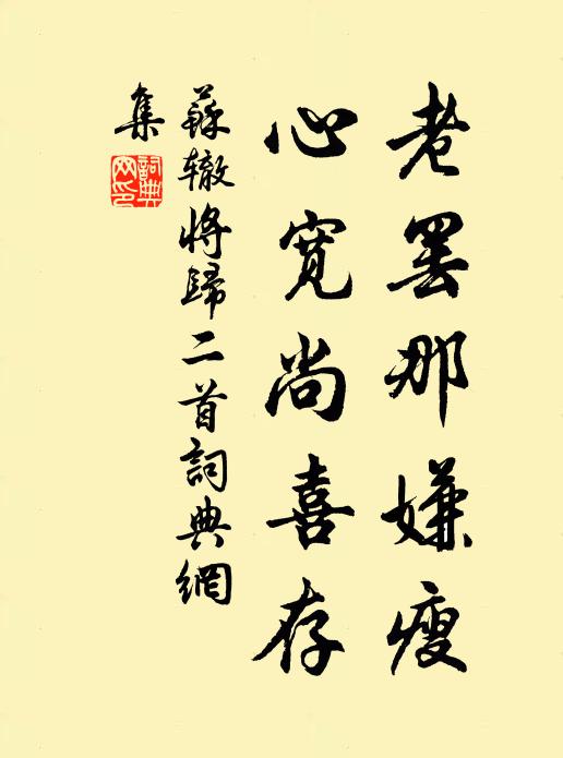 苏辙老罢那嫌瘦，心宽尚喜存书法作品欣赏