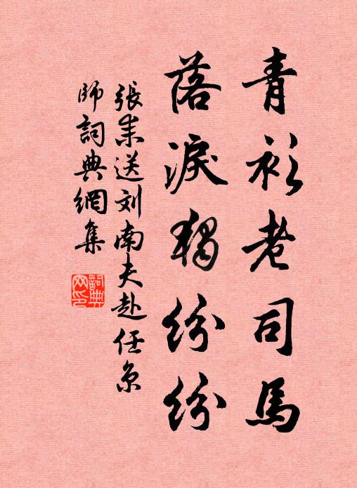 张耒青衫老司马，落泪独纷纷书法作品欣赏