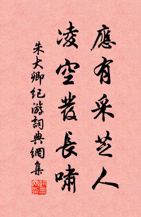 朱大卿应有采芝人，凌空发长啸书法作品欣赏