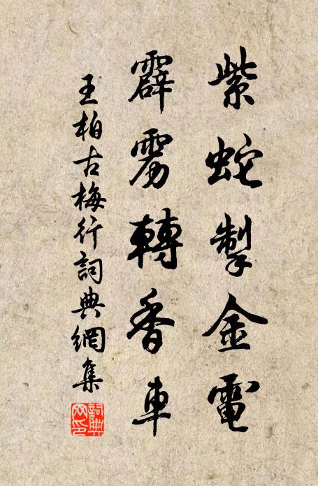 王柏紫蛇掣金电，霹雳转香车书法作品欣赏