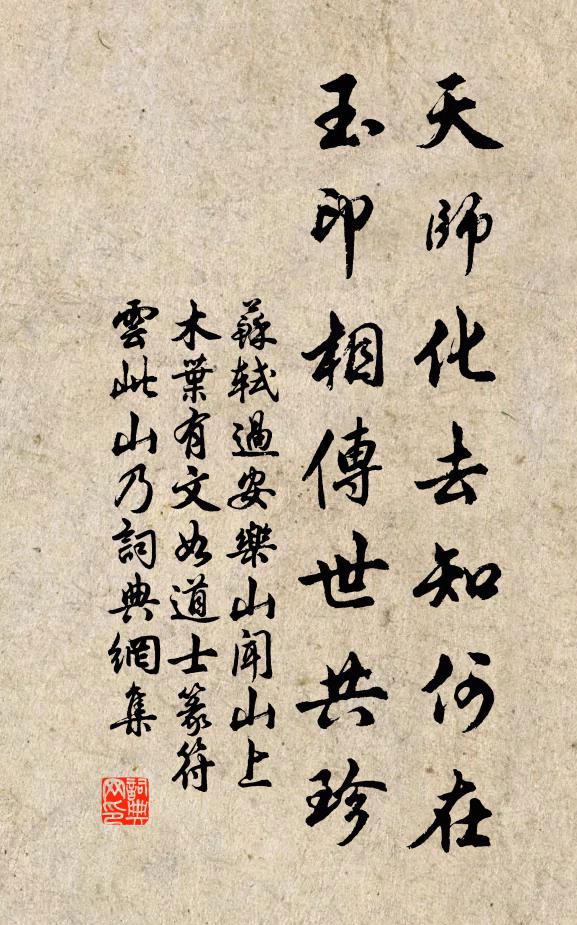苏轼天师化去知何在，玉印相传世共珍书法作品欣赏