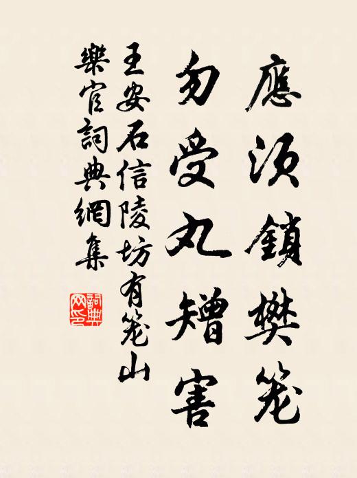 王安石应须锁樊笼，勿受丸矰害书法作品欣赏