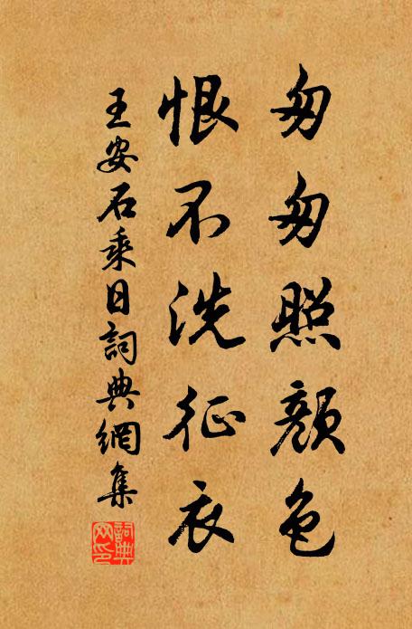 王安石匆匆照颜色，恨不洗征衣书法作品欣赏