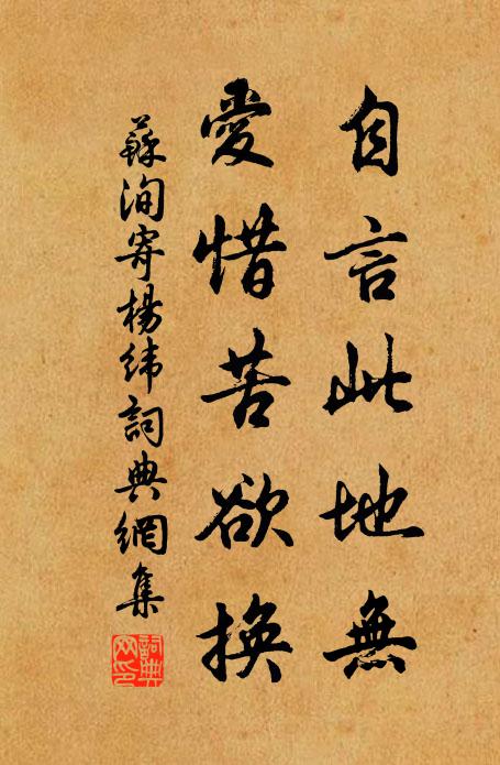 苏洵自言此地无，爱惜苦欲换书法作品欣赏
