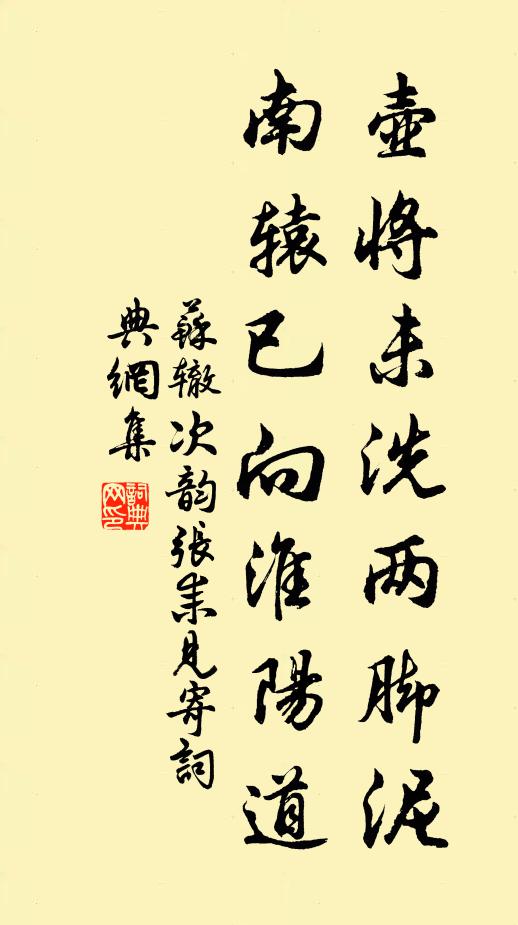 苏辙壶将未洗两脚泥，南辕已向淮阳道书法作品欣赏
