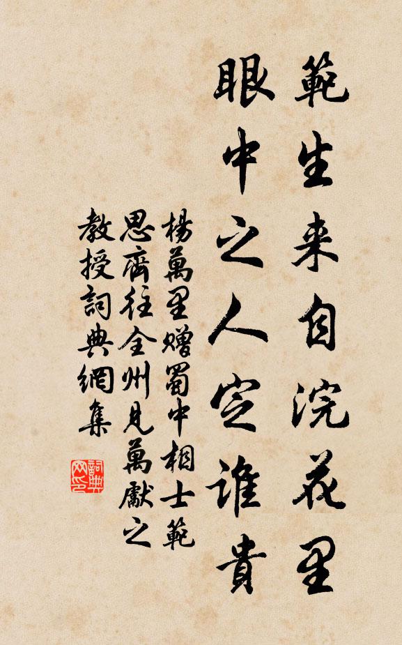 杨万里范生来自浣花里，眼中之人定谁贵书法作品欣赏