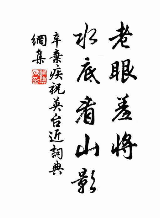 辛弃疾老眼羞将，水底看山影书法作品欣赏