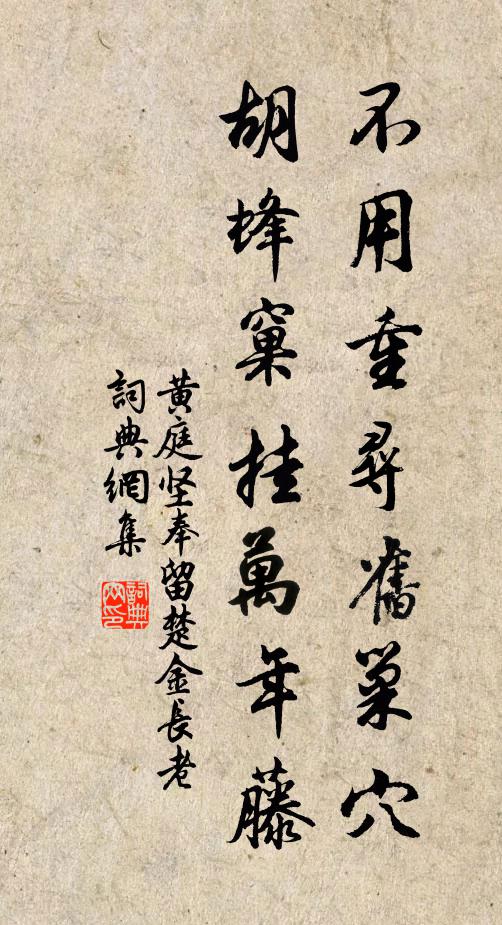 黄庭坚不用重寻旧巢穴，胡蜂窠挂万年藤书法作品欣赏