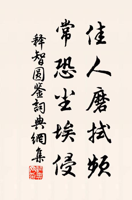 释智圆佳人磨拭频，常恐尘埃侵书法作品欣赏