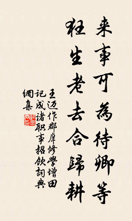 王迈来事可为待卿等，狂生老去合归耕书法作品欣赏