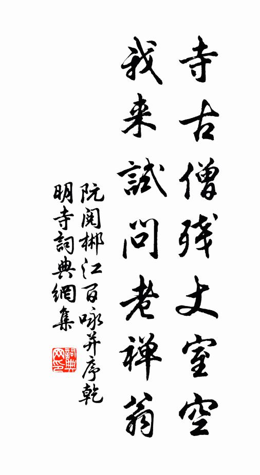 阮阅寺古僧残丈室空，我来试问老禅翁书法作品欣赏
