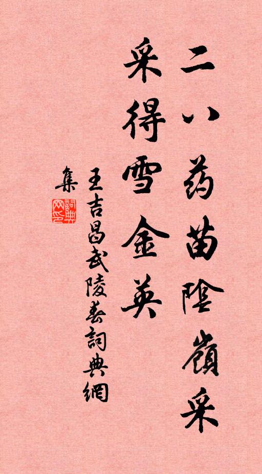 王吉昌二八药苗阴岭采，采得雪金英书法作品欣赏
