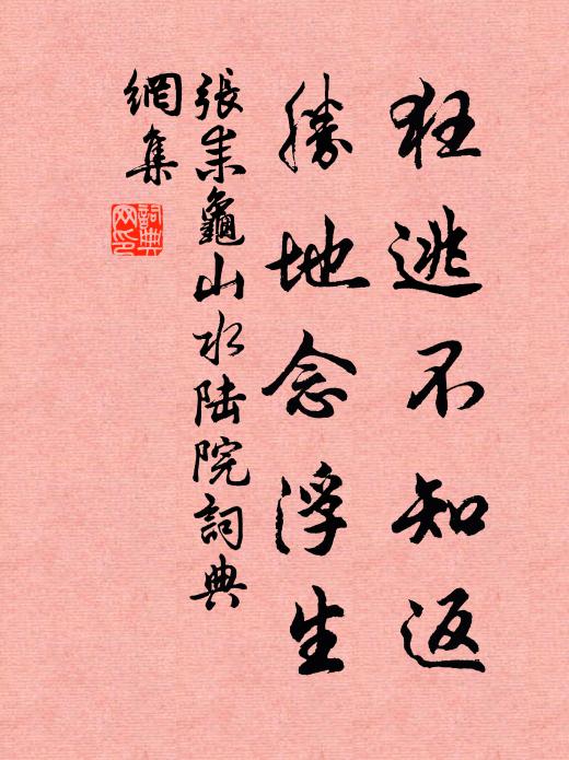 张耒狂逃不知返，胜地念浮生书法作品欣赏