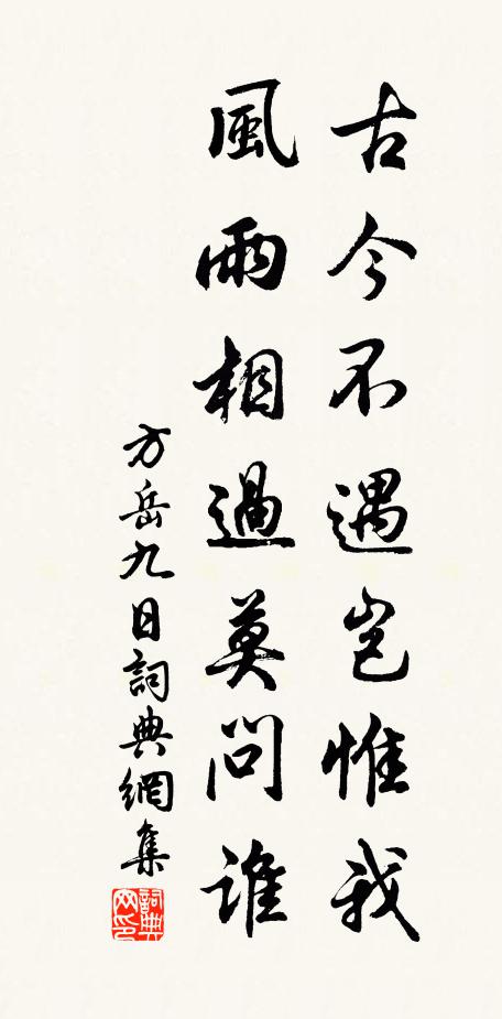 方岳古今不遇岂惟我，风雨相过莫问谁书法作品欣赏