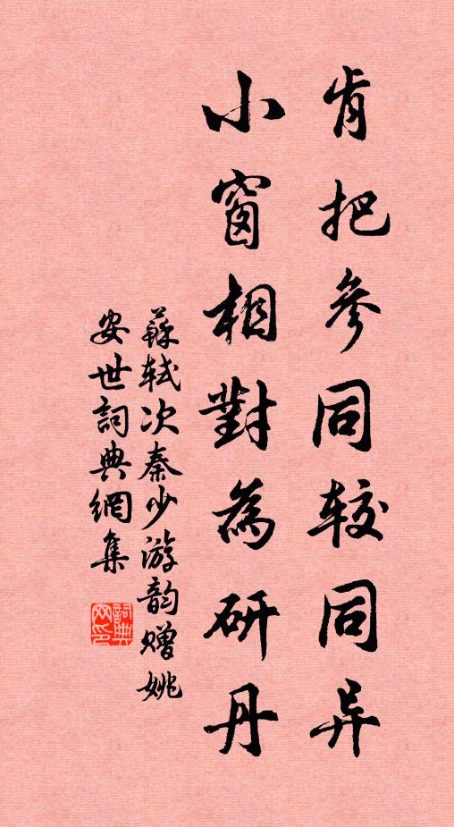 苏轼肯把参同较同异，小窗相对为研丹书法作品欣赏