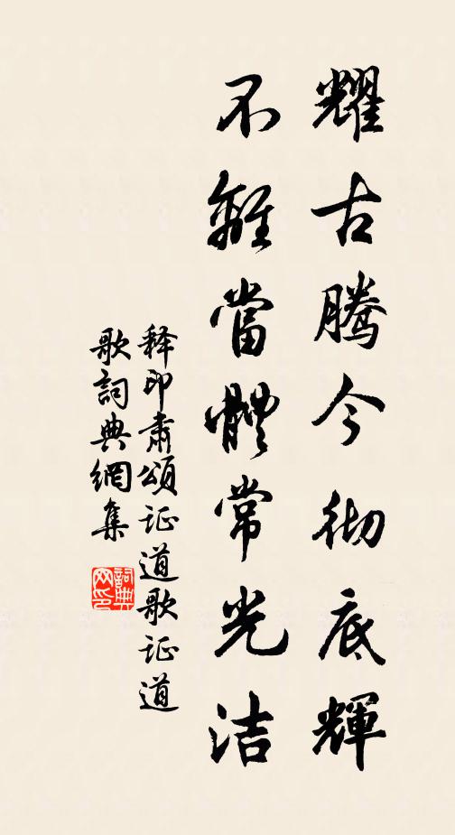释印肃耀古腾今彻底辉，不离当体常光洁书法作品欣赏