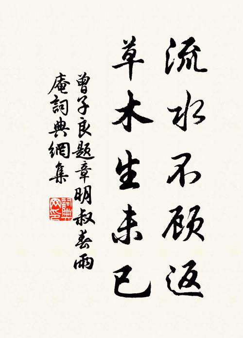 曾子良流水不顾返，草木生未已书法作品欣赏