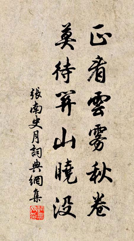 张南史正看云雾秋卷，莫待关山晓没书法作品欣赏