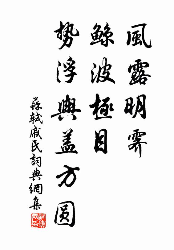 苏轼风露明霁，鲸波极目，势浮舆盖方圆书法作品欣赏