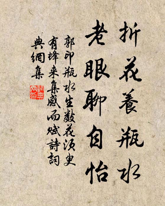 郭印折花养瓶水，老眼聊自怡书法作品欣赏