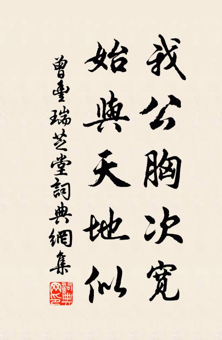 曾丰我公胸次宽，始与天地似书法作品欣赏
