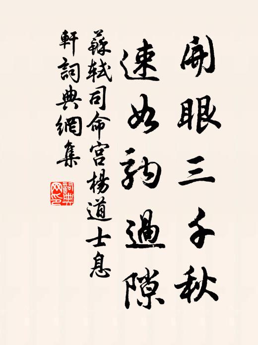 苏轼开眼三千秋，速如驹过隙书法作品欣赏