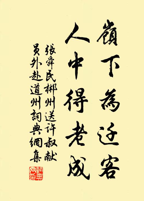 张舜民岭下为迁客，人中得老成书法作品欣赏