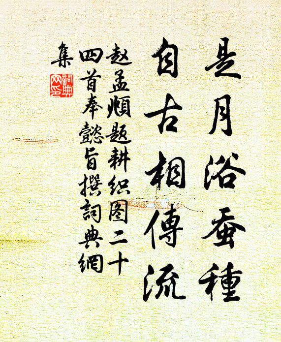 赵孟頫是月浴蚕种，自古相传流书法作品欣赏
