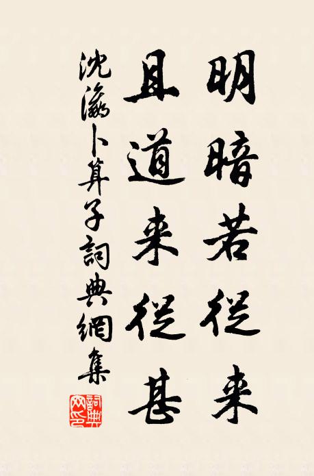 沈瀛明暗若从来，且道来从甚书法作品欣赏