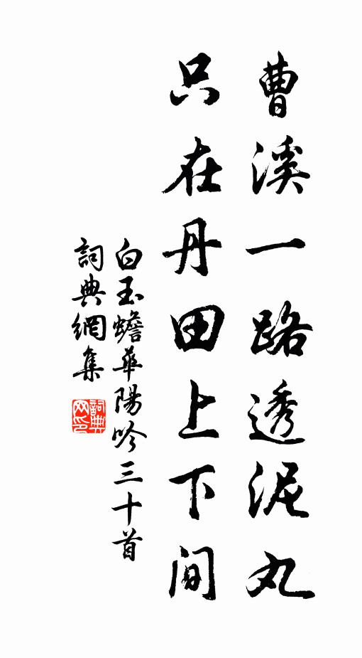 白玉蟾曹溪一路透泥丸，只在丹田上下间书法作品欣赏