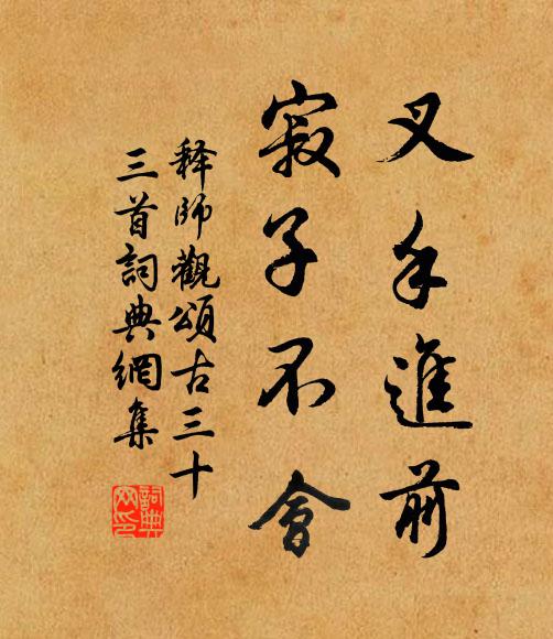释师观叉手进前，寂子不会书法作品欣赏
