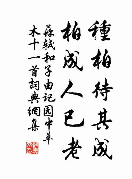 苏轼种柏待其成，柏成人已老书法作品欣赏