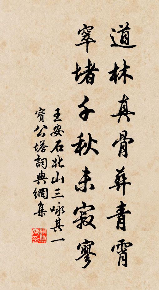 王安石道林真骨葬青霄，窣堵千秋未寂寥书法作品欣赏