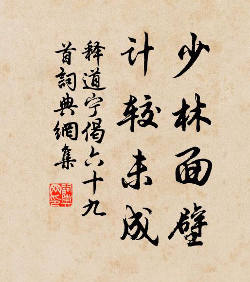 释道宁少林面壁，计较未成书法作品欣赏