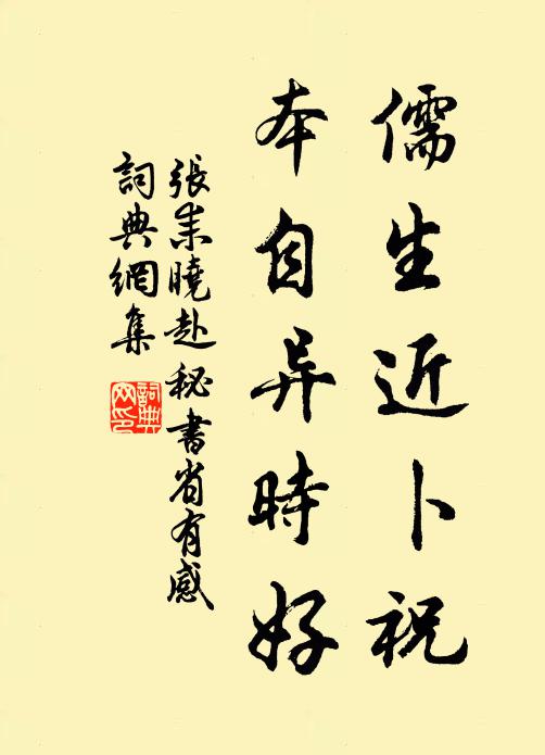 张耒儒生近卜祝，本自异时好书法作品欣赏