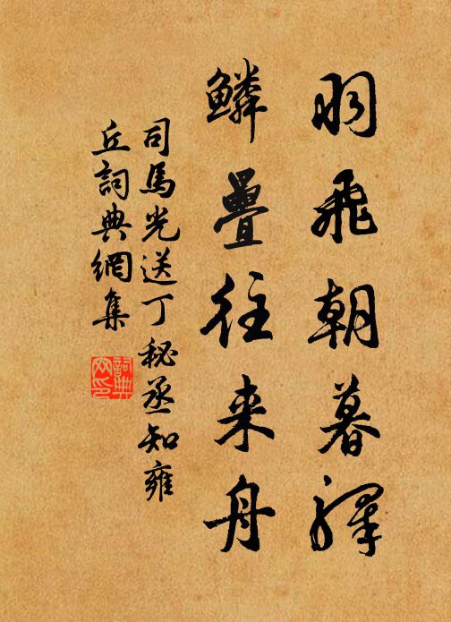 司马光羽飞朝暮驿，鳞叠往来舟书法作品欣赏