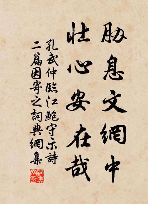 孔武仲胁息文网中，壮心安在哉书法作品欣赏