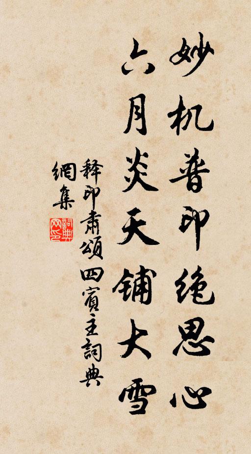 释印肃妙机普印绝思心，六月炎天铺大雪书法作品欣赏