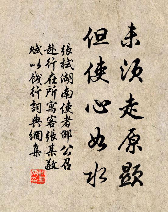 张栻未须走原显，但使心如水书法作品欣赏