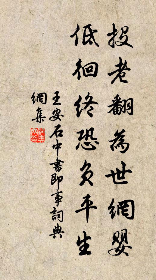 王安石投老翻为世网婴，低徊终恐负平生书法作品欣赏